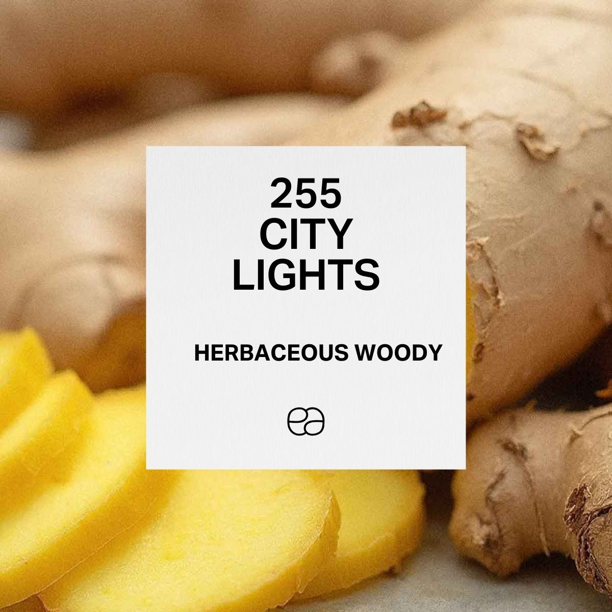 255 City Lights