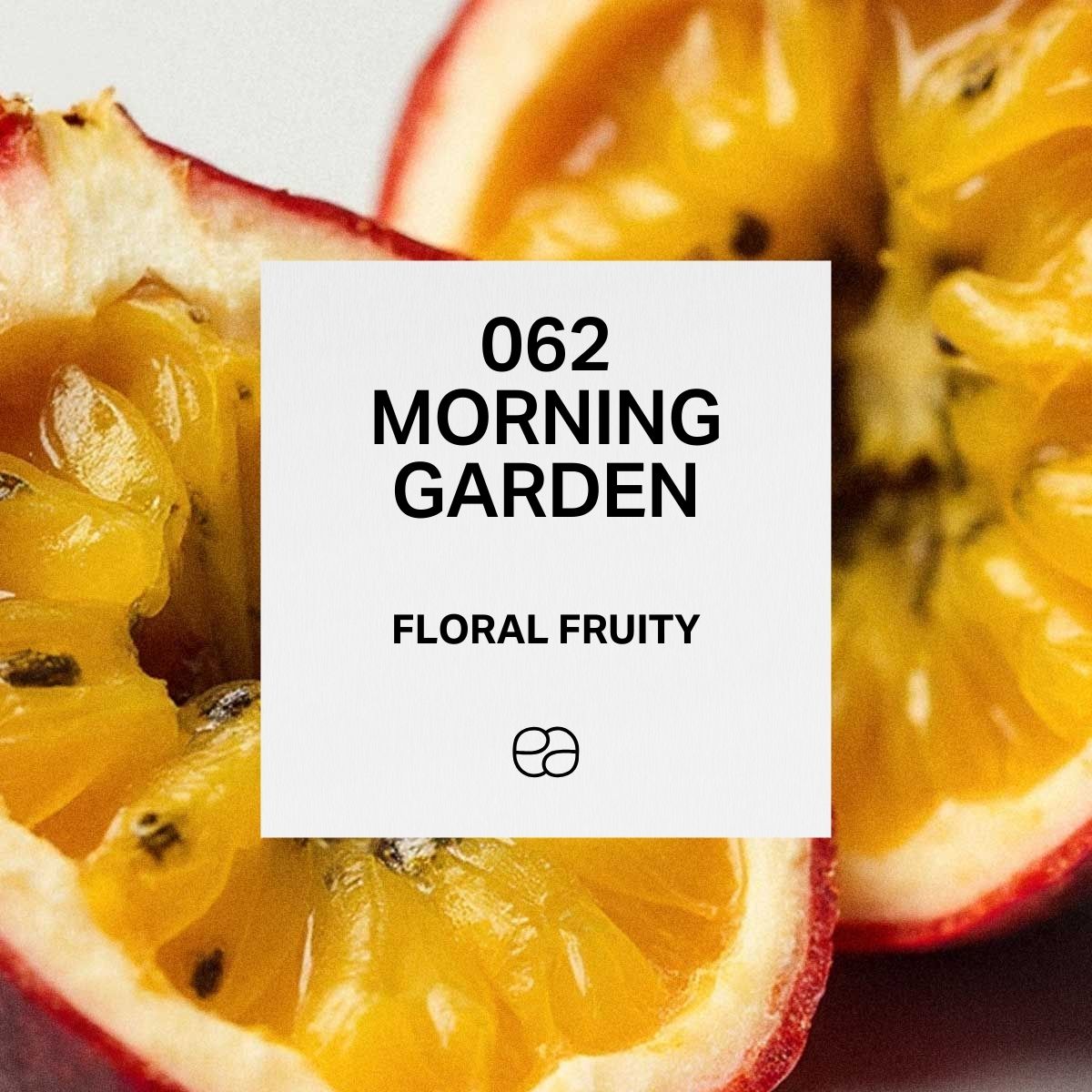 062 Morning Garden