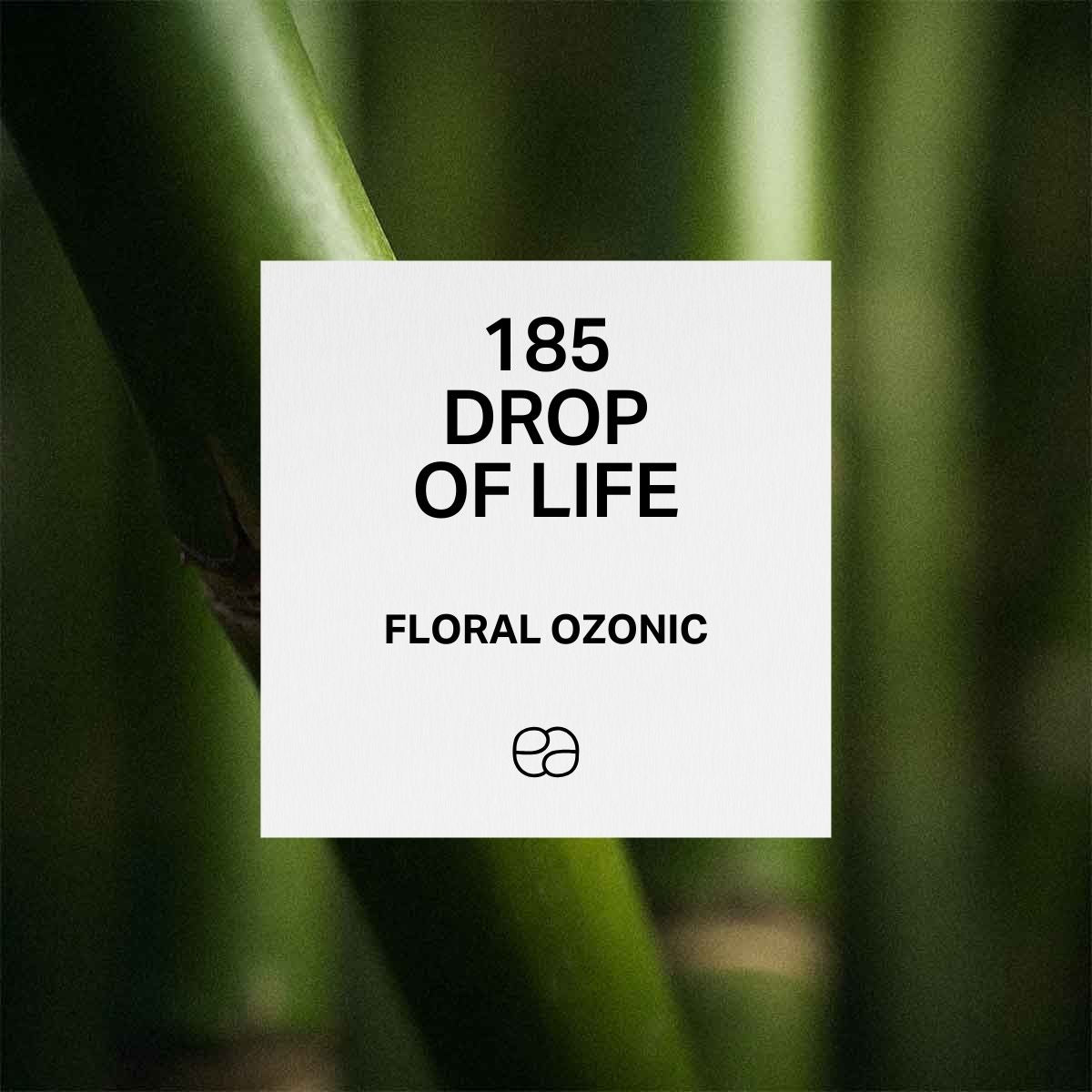 185 Drop of Life