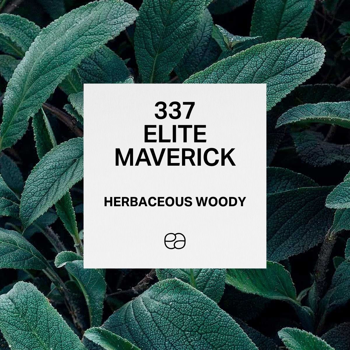 337 Elite Maverick