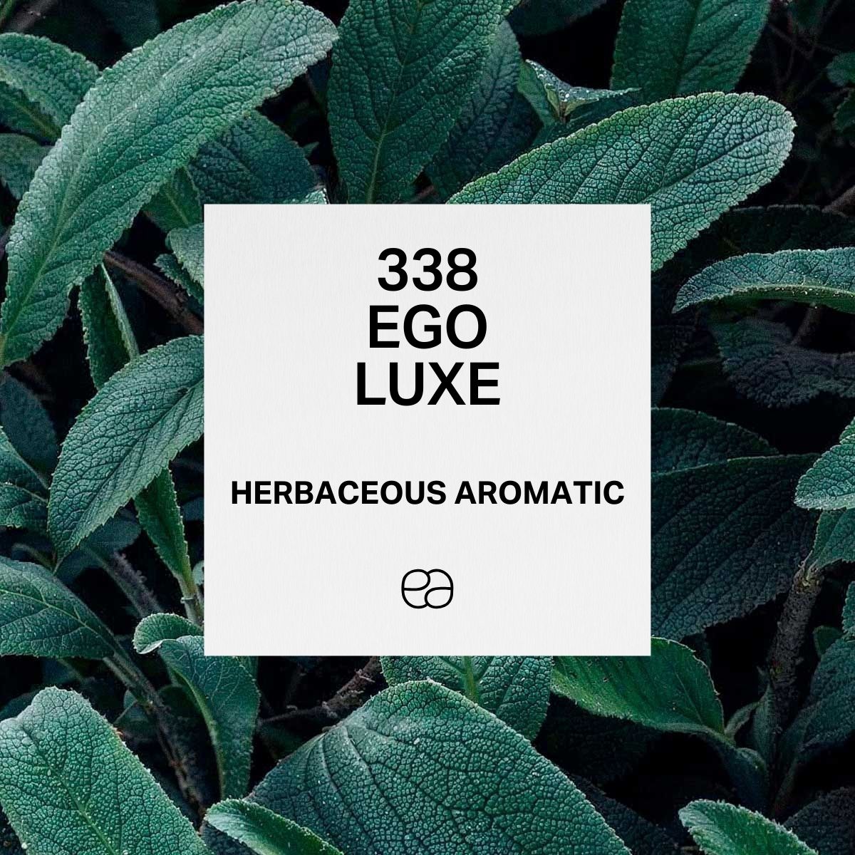 338 Ego Luxe