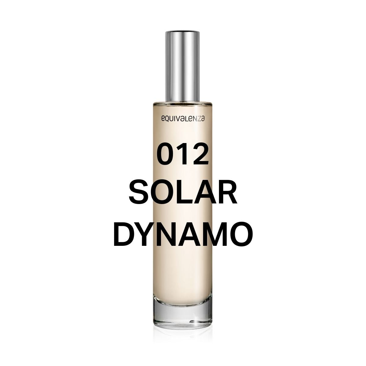 012 Solar Dynamo — 2